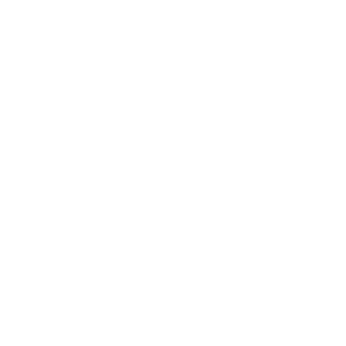 Swallow Logo